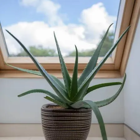 Urban Jungle Taras- Luksusowy W Gdyni. 그디니아