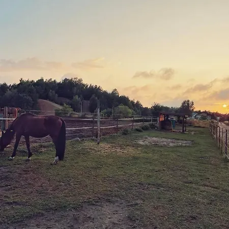 Διαμέρισμα Urban Jungle Taras- Luksusowy W Gdyni. Γκντίνια