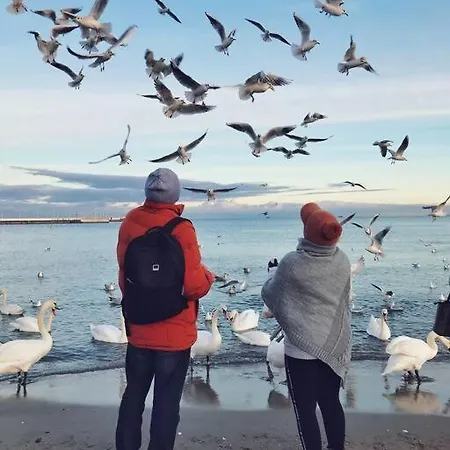 Urban Jungle Taras- Luksusowy W Gdyni. 아파트 *