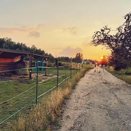 Urban Jungle Taras- Luksusowy W Gdyni.