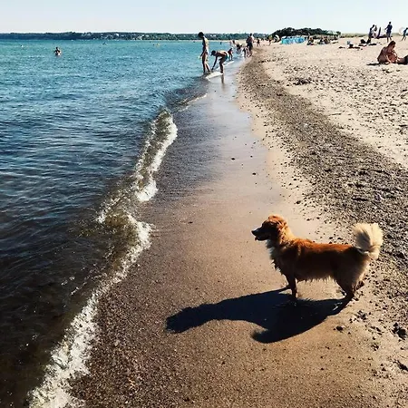 Urban Jungle Taras- Luksusowy W Gdyni. *