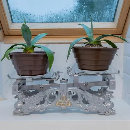 Urban Jungle Taras- Luksusowy W Gdyni. Διαμέρισμα *