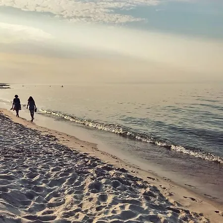 Urban Jungle Taras- Luksusowy W Gdyni. 그디니아