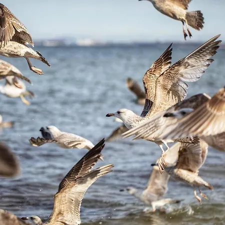 아파트 Urban Jungle Taras- Luksusowy W Gdyni.