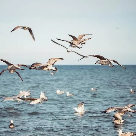 Urban Jungle Taras- Luksusowy W Gdyni. 그디니아