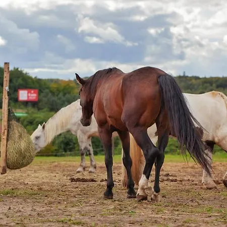 Διαμέρισμα Urban Jungle Taras- Luksusowy W Gdyni. *