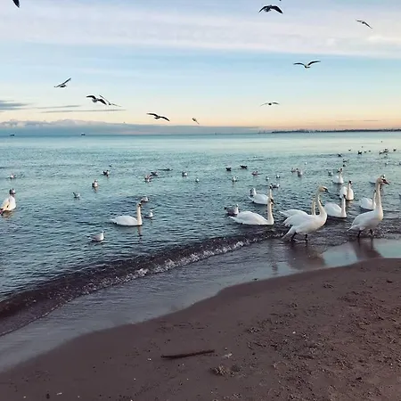 Urban Jungle Taras- Luksusowy W Gdyni. * 그디니아