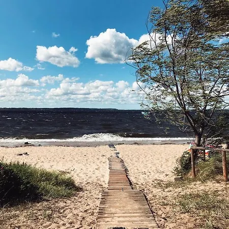 Urban Jungle Taras- Luksusowy W Gdyni. * 그디니아