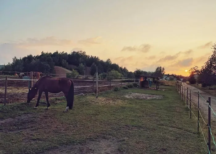 Apartament Urban Jungle Taras- Luksusowy W Gdyni. Gdynia